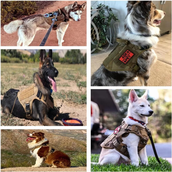 Pet Harness Luxury Dog Leash Set Chest Dog  Nylon Camouflage Dog Harness - Image 5